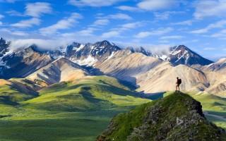 Denali national park