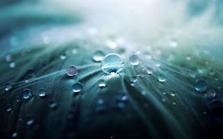 Drops