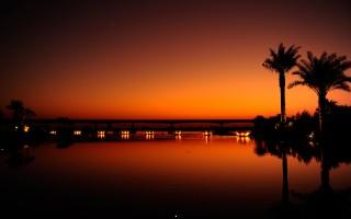 Dubai night