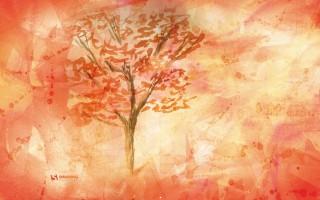 Fall in october