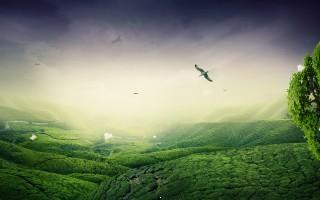 Green landscape