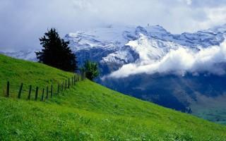 Green over clouds