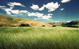 Green valley