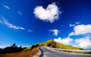 Hearty cloud