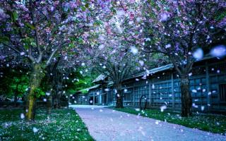 Mississauga kariya park canada