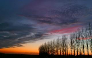 Moody sky