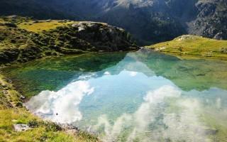 Nature reflections