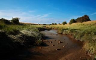 Nature scenery
