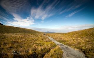 New zealand scenery
