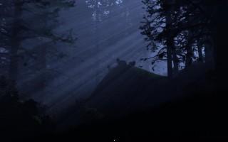 Night watch
