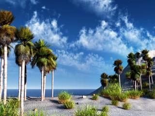 Pacifico by boss019