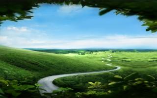 Path landscape