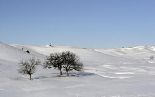 Planet scenes 008