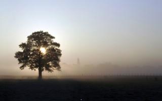 Planet scenes 012