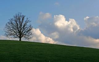 Planet scenes 014