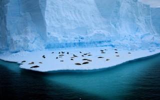 Planet scenes 026
