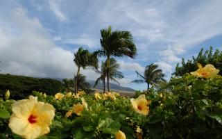 Planet scenes 049
