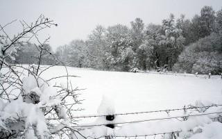 Planet scenes 051