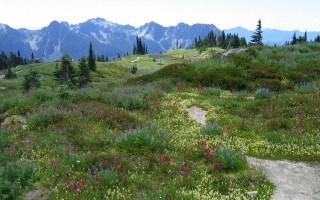 Planet scenes 062