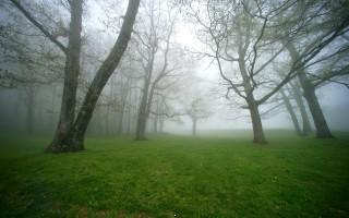 Planet scenes 078