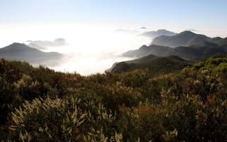 Planet scenes 095