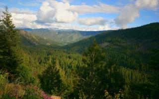 Planet scenes 102