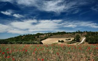 Planet scenes 106