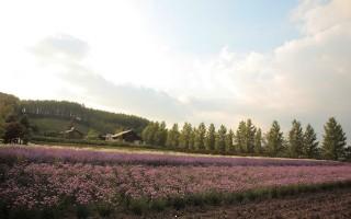 Planet scenes 121