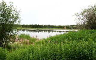 Planet scenes 122