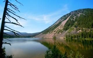 Planet scenes 138