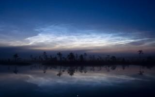 Polar mesospheric clouds