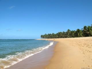 Praia do gunga