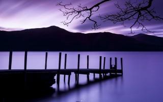 Purple dusk