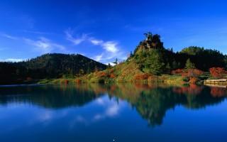 Reflection of autumn trees