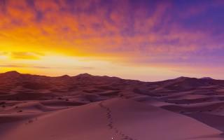 Sahara desert sand dunes