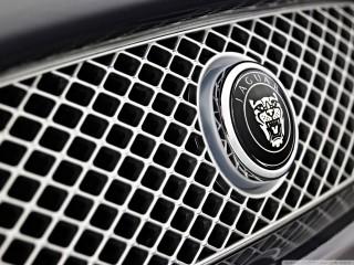 Jaguar badge wallpaper