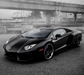 Lamborghini(2)(1)