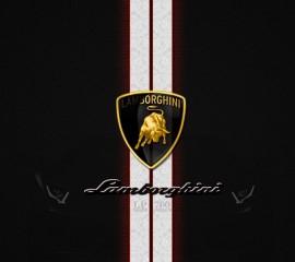 Lamborghini(3)