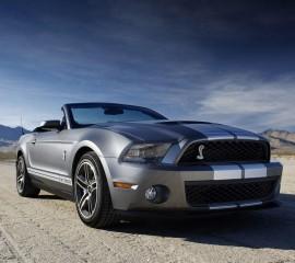 Mustang(3)