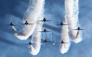 The red arrows