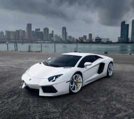 White lamborghini(1)