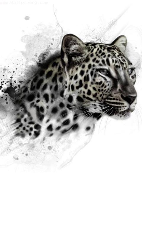 Wild leopard