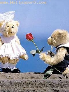 A teddy propose