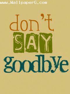 Dont say goodbye