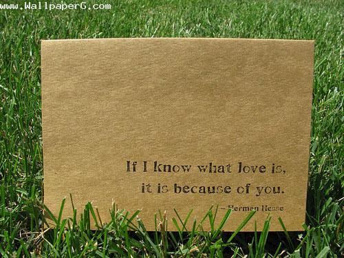 What love is it