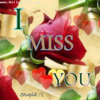 I miss you stupid