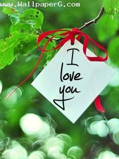 Love of wrap