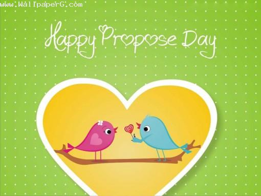 Propose by love birds