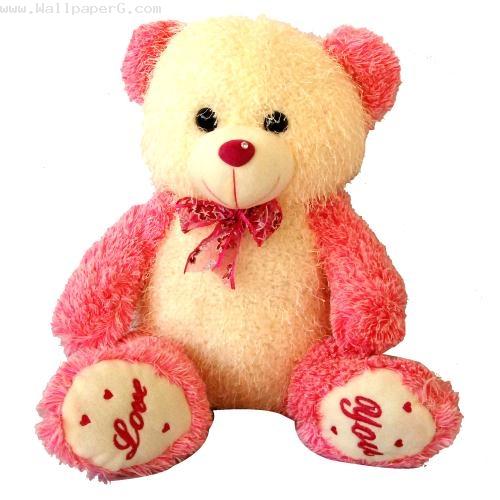 A pink teddy bear of love