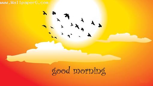 Good morning birds